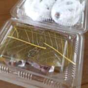 ヒメ日記 2026/04/21 10:10 投稿 さくら ミラー