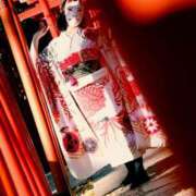 ヒメ日記 2024/12/29 10:03 投稿 ひなた ミラー