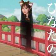 ヒメ日記 2025/01/07 12:04 投稿 ひなた ミラー