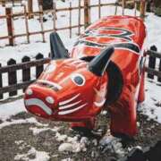 ヒメ日記 2025/01/07 19:01 投稿 ひなた ミラー