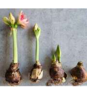 ヒメ日記 2025/01/24 07:03 投稿 ひなた ミラー