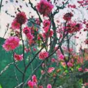 ヒメ日記 2025/02/06 22:34 投稿 ひなた ミラー