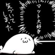 ヒメ日記 2025/02/10 07:45 投稿 ひなた ミラー