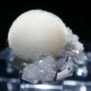 ヒメ日記 2025/02/14 22:44 投稿 ひなた ミラー