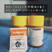 ヒメ日記 2025/02/16 13:01 投稿 ひなた ミラー