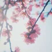 ヒメ日記 2025/02/18 08:41 投稿 ひなた ミラー