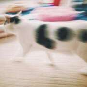 ヒメ日記 2025/02/22 22:44 投稿 ひなた ミラー