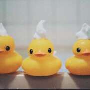 ヒメ日記 2025/03/02 09:31 投稿 ひなた ミラー