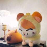 ヒメ日記 2025/03/17 23:44 投稿 ひなた ミラー