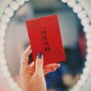 ヒメ日記 2025/03/22 10:45 投稿 ひなた ミラー