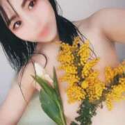 ヒメ日記 2025/03/23 12:31 投稿 ひなた ミラー