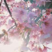 ヒメ日記 2025/03/28 21:21 投稿 ひなた ミラー