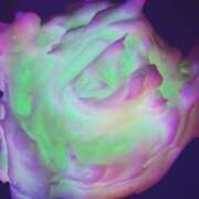 ヒメ日記 2025/04/22 10:31 投稿 ひなた ミラー