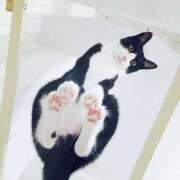 ヒメ日記 2025/04/29 07:01 投稿 ひなた ミラー