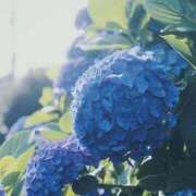 ヒメ日記 2025/05/30 12:59 投稿 ひなた ミラー