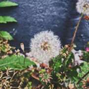 ヒメ日記 2025/06/01 23:54 投稿 ひなた ミラー