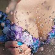 ヒメ日記 2025/06/04 13:15 投稿 ひなた ミラー