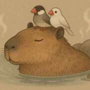 ヒメ日記 2025/06/08 12:03 投稿 ひなた ミラー