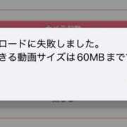 ヒメ日記 2025/06/15 08:54 投稿 ひなた ミラー