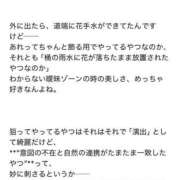 ヒメ日記 2025/06/16 12:03 投稿 ひなた ミラー