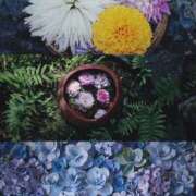 ヒメ日記 2025/06/17 01:01 投稿 ひなた ミラー