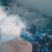 ヒメ日記 2025/06/19 23:40 投稿 ひなた ミラー