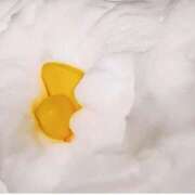 ヒメ日記 2025/06/23 10:39 投稿 ひなた ミラー