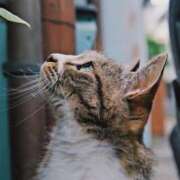 ヒメ日記 2025/06/29 21:59 投稿 ひなた ミラー