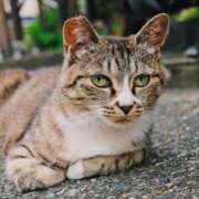 ヒメ日記 2025/06/30 18:31 投稿 ひなた ミラー