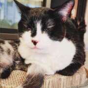 ヒメ日記 2025/07/04 14:22 投稿 ひなた ミラー