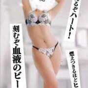 ヒメ日記 2025/07/07 16:18 投稿 ひなた ミラー