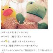 ヒメ日記 2025/07/07 23:04 投稿 ひなた ミラー