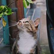 ヒメ日記 2025/07/18 14:55 投稿 ひなた ミラー