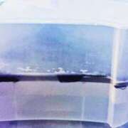 ヒメ日記 2025/08/11 23:55 投稿 ひなた ミラー