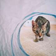 ヒメ日記 2025/08/14 23:57 投稿 ひなた ミラー