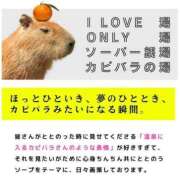 ヒメ日記 2025/08/17 19:30 投稿 ひなた ミラー