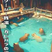 ヒメ日記 2025/08/26 23:17 投稿 ひなた ミラー