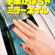 ヒメ日記 2025/08/29 00:16 投稿 ひなた ミラー