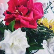 ヒメ日記 2025/09/03 23:49 投稿 ひなた ミラー