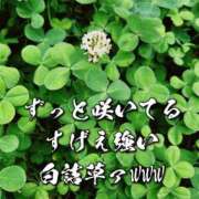 ヒメ日記 2025/09/10 12:44 投稿 ひなた ミラー