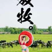 ヒメ日記 2025/10/01 12:03 投稿 ひなた ミラー