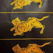 ヒメ日記 2025/12/06 14:01 投稿 ひなた ミラー