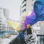 ヒメ日記 2025/12/12 22:12 投稿 ひなた ミラー