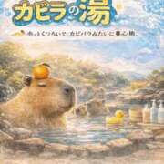ヒメ日記 2026/01/24 21:15 投稿 ひなた ミラー