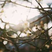 ヒメ日記 2026/02/12 17:09 投稿 ひなた ミラー