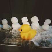 ヒメ日記 2026/02/14 09:03 投稿 ひなた ミラー