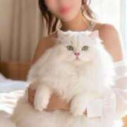 ヒメ日記 2026/02/22 08:01 投稿 ひなた ミラー