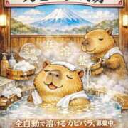 ヒメ日記 2026/03/01 07:01 投稿 ひなた ミラー