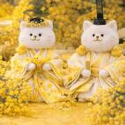 ヒメ日記 2026/03/03 10:30 投稿 ひなた ミラー