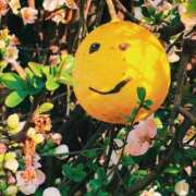 ヒメ日記 2026/03/11 22:29 投稿 ひなた ミラー